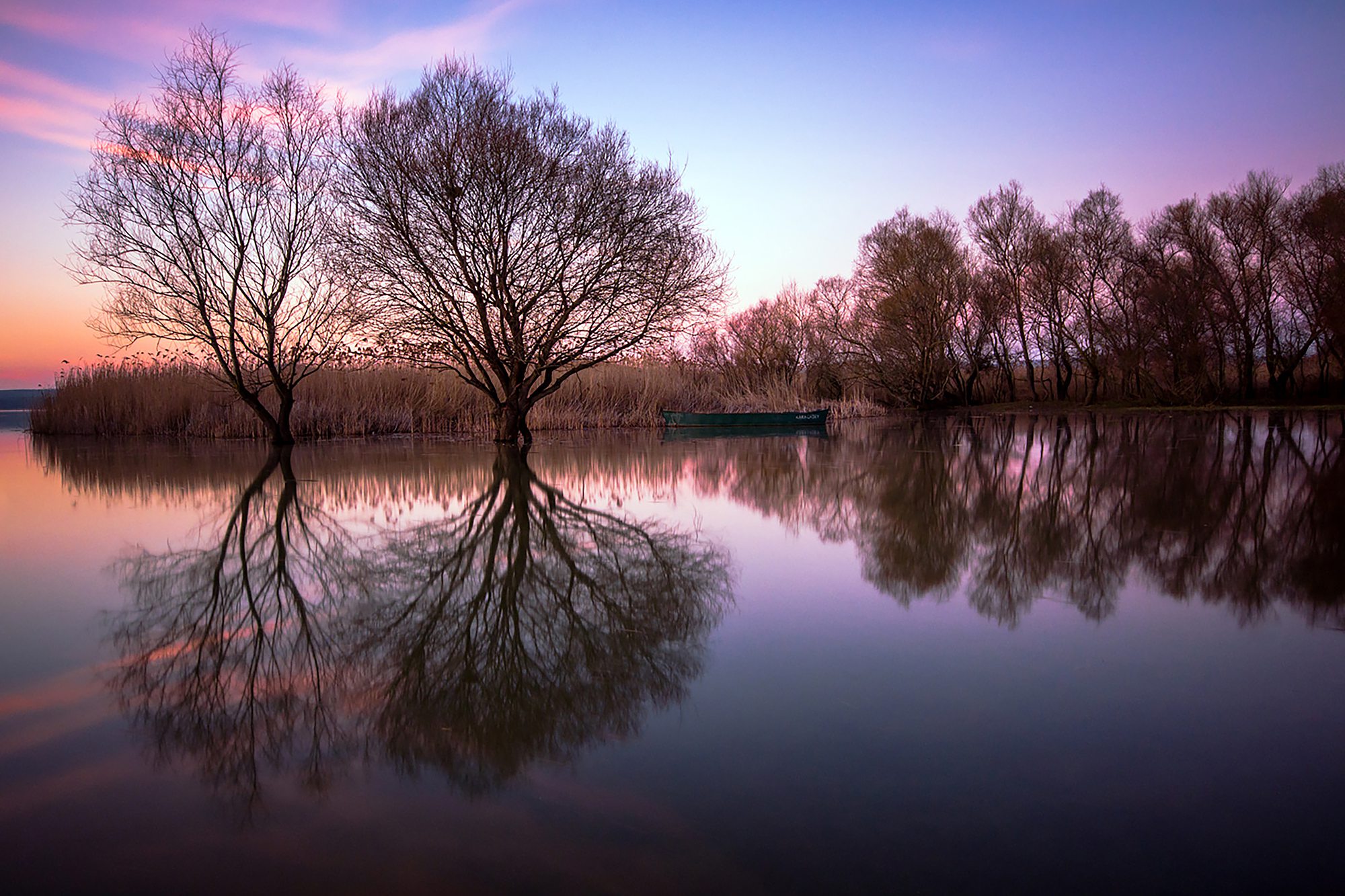Tranquility by @Recep_Nft
