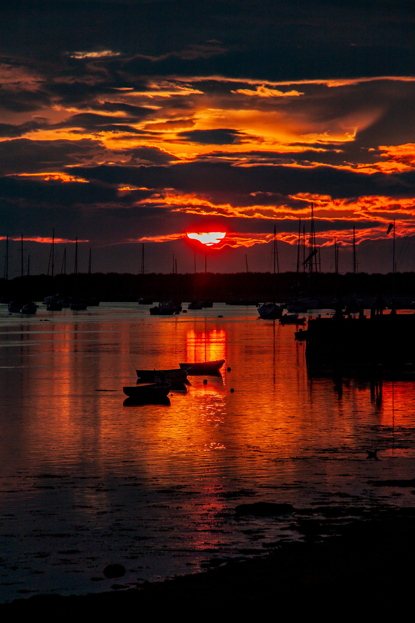 Burning Gold by @emmasamuelphoto