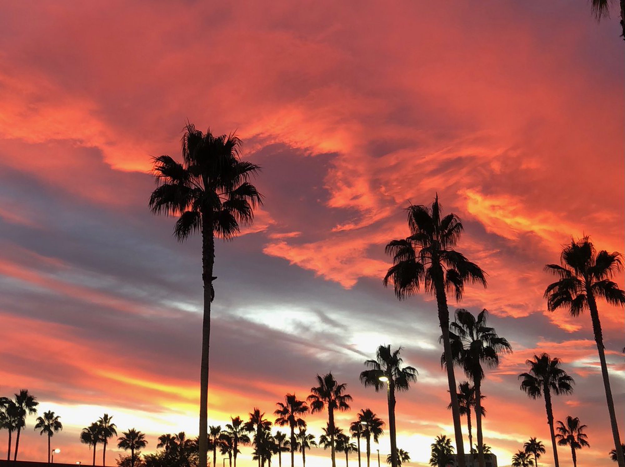 California Sunsets by @Sandytoes2211