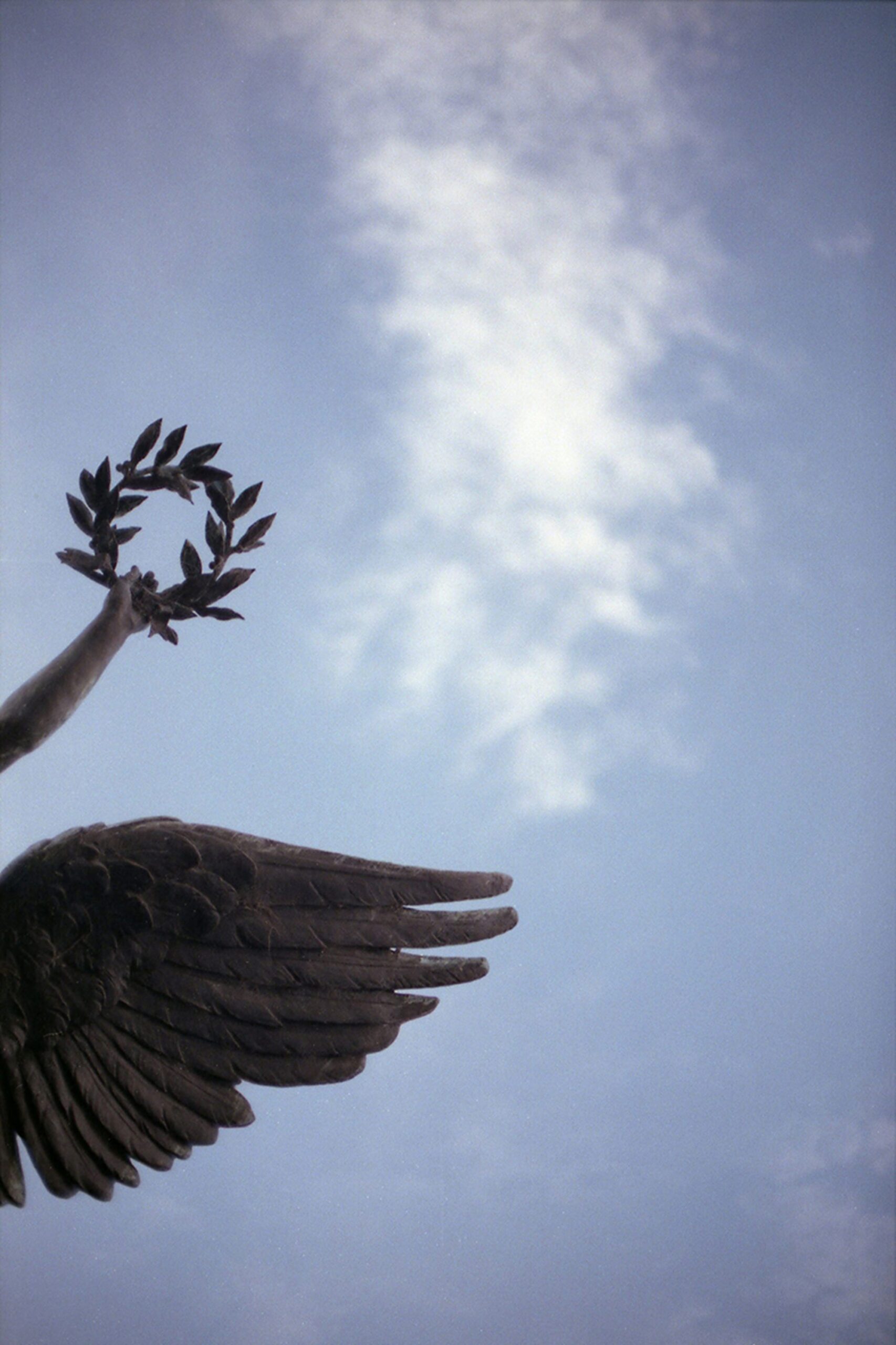 35mm film artwork about victory