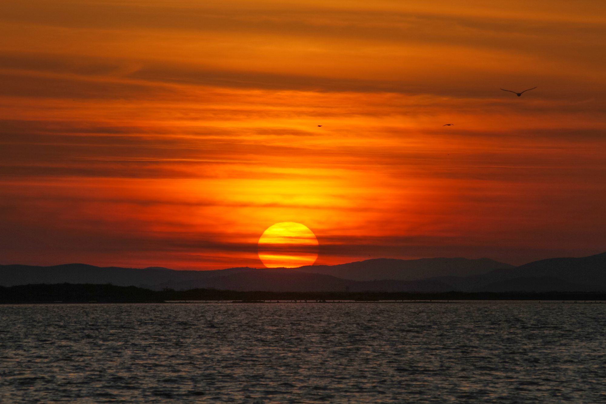 Sun's Farewell Kiss by @faraz_xyz, Sunset NFT Photography